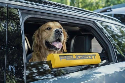 Peugeot laget en elbil for hunden din – og disse modellene har allerede hundemodus